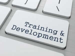 Software Training